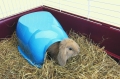 Bild 2 von Savic Nagerhaus Cocoon