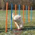 Bild 1 von Trixie Agility Slalom