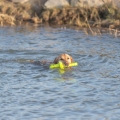 Bild 5 von Trixie Aqua Toy MOT®-Aqua