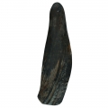 Bild 2 von Viking twist Horn  / (Variante) M