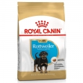 Royal Canin Rottweiler 31 Junior