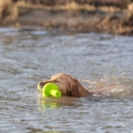 Bild 4 von Trixie Aqua Toy MOT®-Aqua