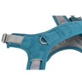 Bild 2 von Trixie Premium Active Geschirr - petrol