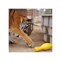 Bild 4 von Tuggo Shake N Fetch - Large - von Tigern getestet!  / (Variante) Pink