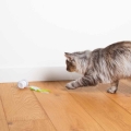 Bild 5 von EBI Cat Toy Racing Roller